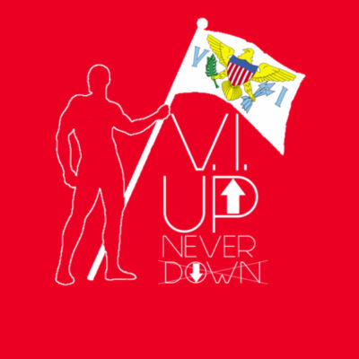 VI Up Never Down Design