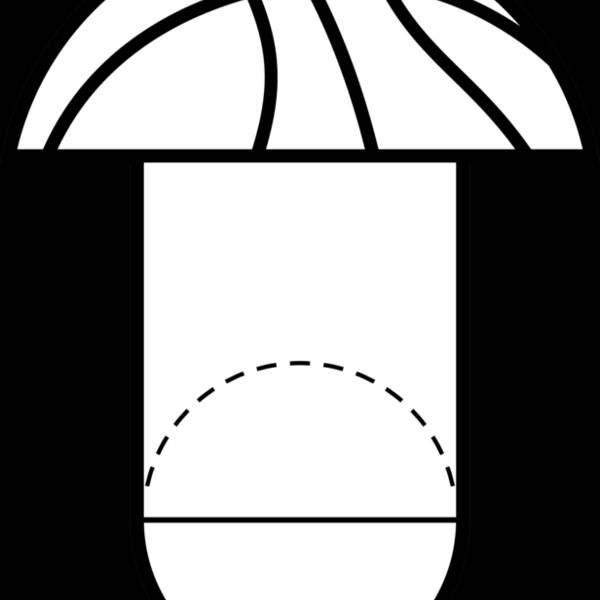 BSKTBALLCOURT3 Thumbnail