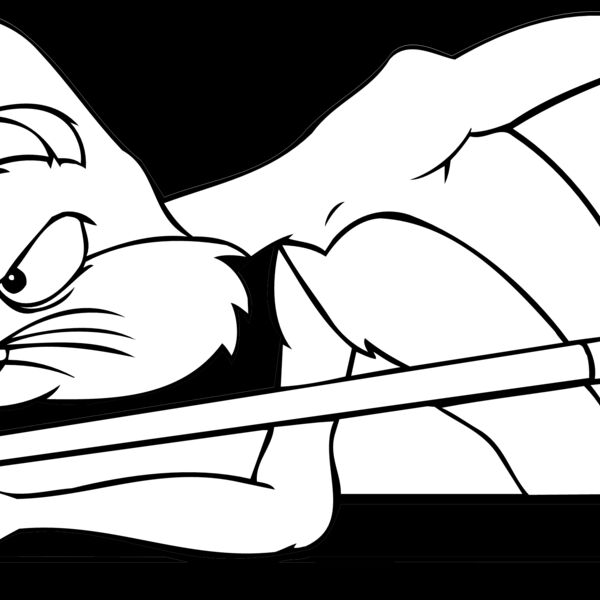 BILLRDRBBT3 Thumbnail