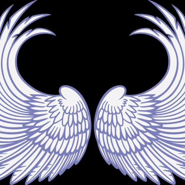 ES3wing03clr Thumbnail