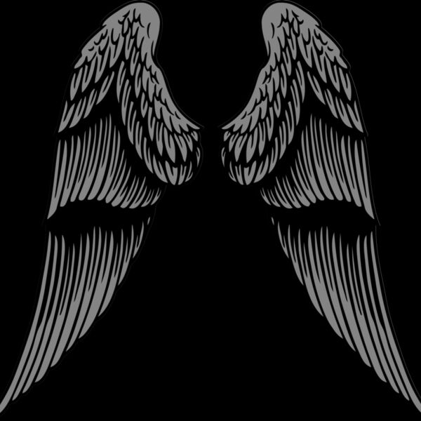 ES2wings031CLR Thumbnail