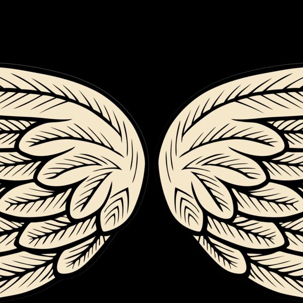 ES2wings002clr Thumbnail