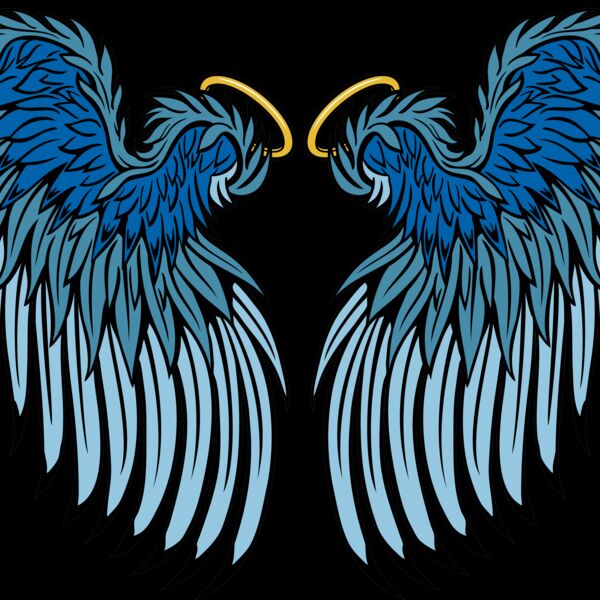 ES3wing25clr Thumbnail