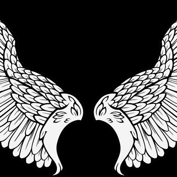 ES3wing11clr Thumbnail