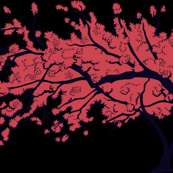 es3cherryblossom01clr Thumbnail