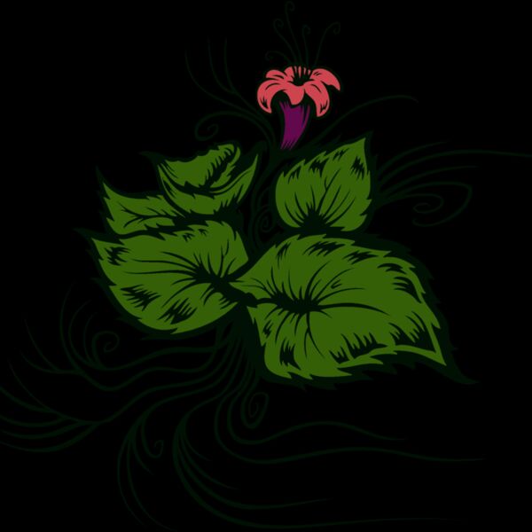 flower and leaves Thumbnail