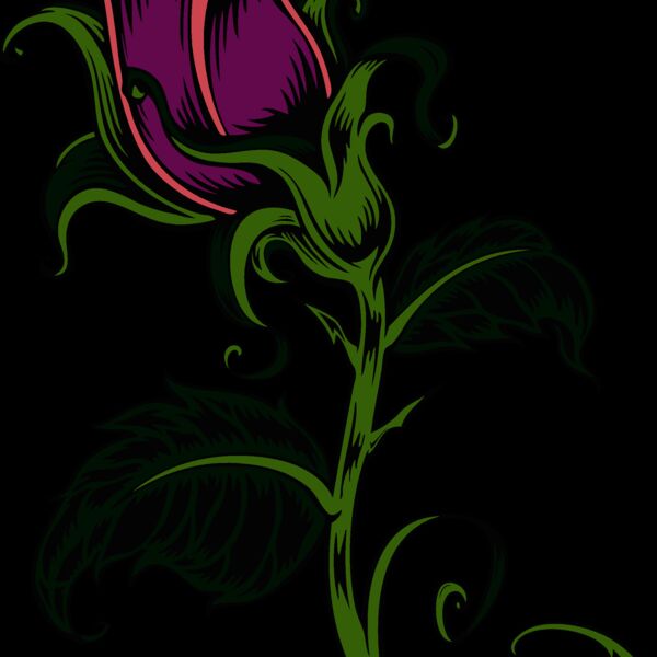 es2rose001clr Thumbnail