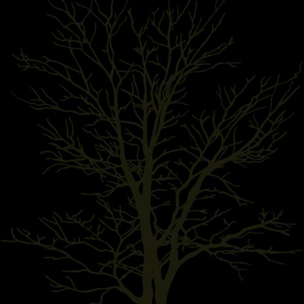 es2tree007clr Thumbnail