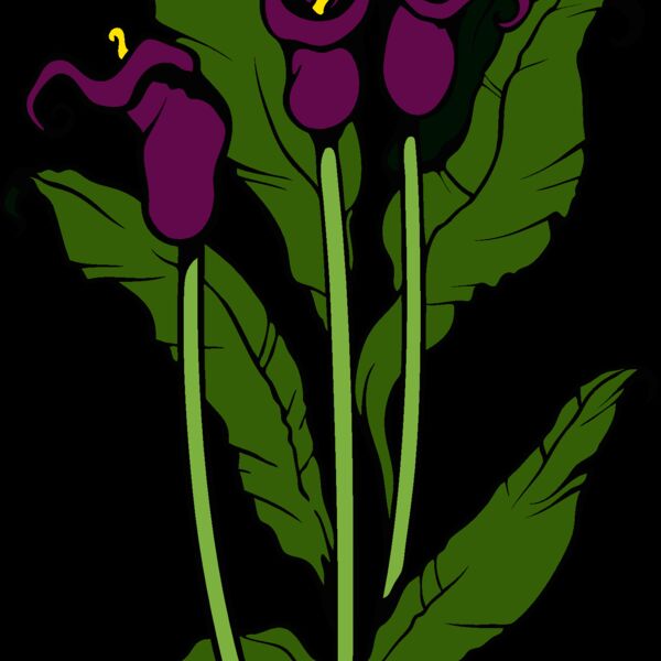 es3flower07clr Thumbnail