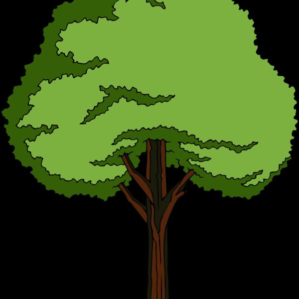 es3tree11clr Thumbnail