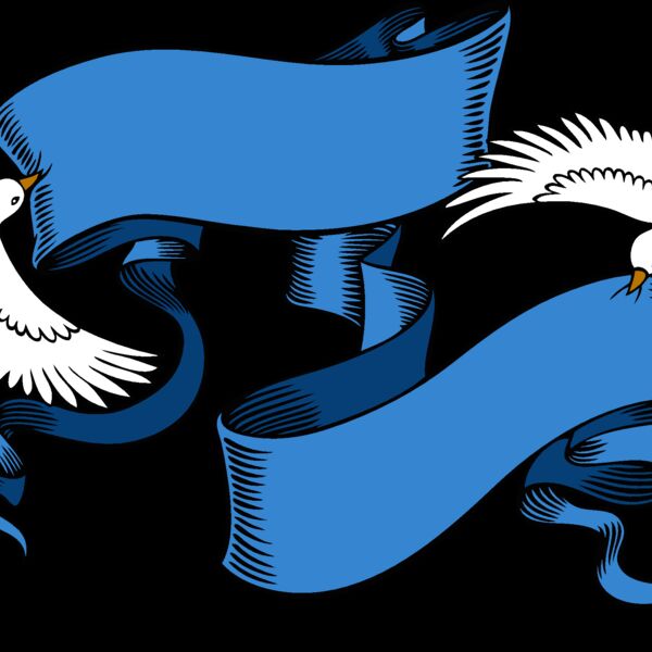 es2dove002clr Thumbnail