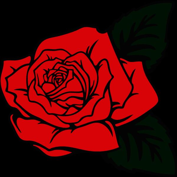 es2rose002clr Thumbnail