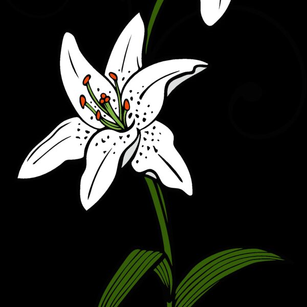 es2flower007clr Thumbnail