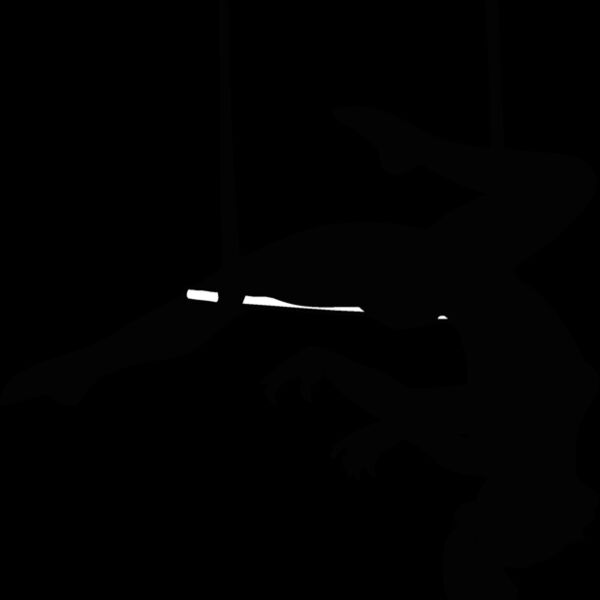 trapeze artist Thumbnail