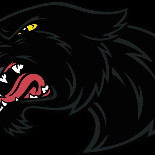 es2panther003clr Thumbnail