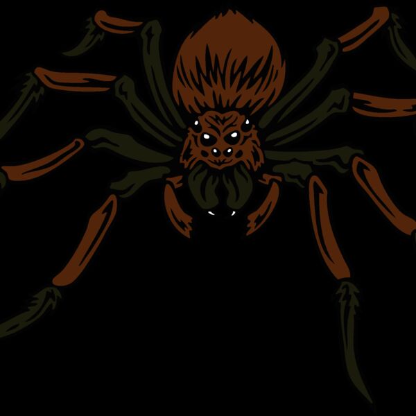 esspider004clr Thumbnail