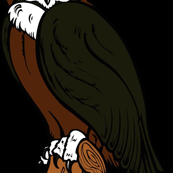 es2owl002clr Thumbnail