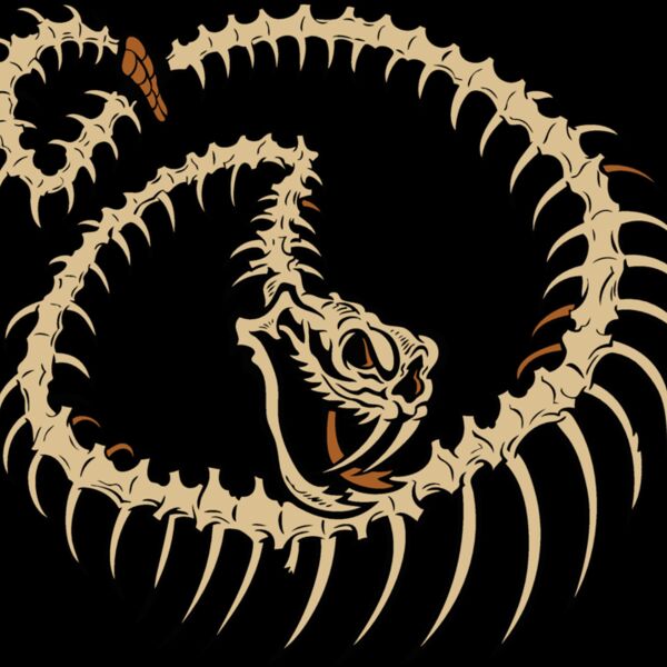 snake skeleton Thumbnail