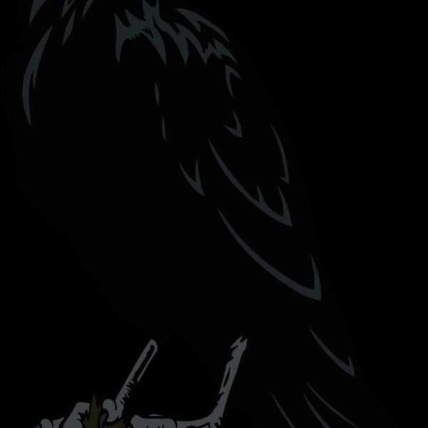 es2raven003clr Thumbnail