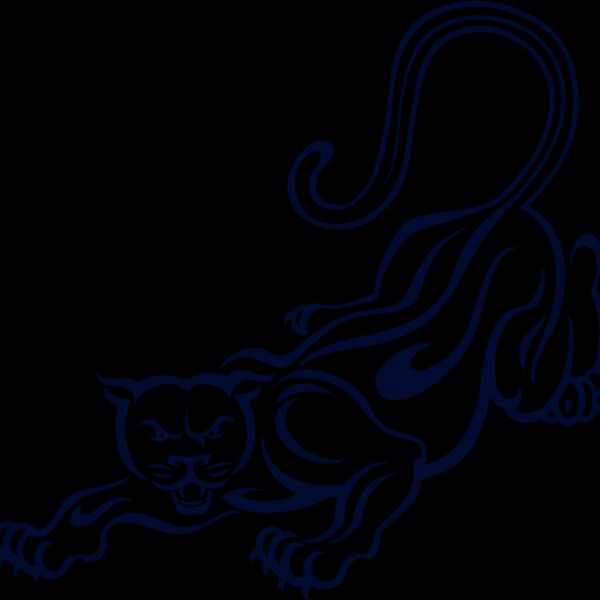 es3panther06clr Thumbnail