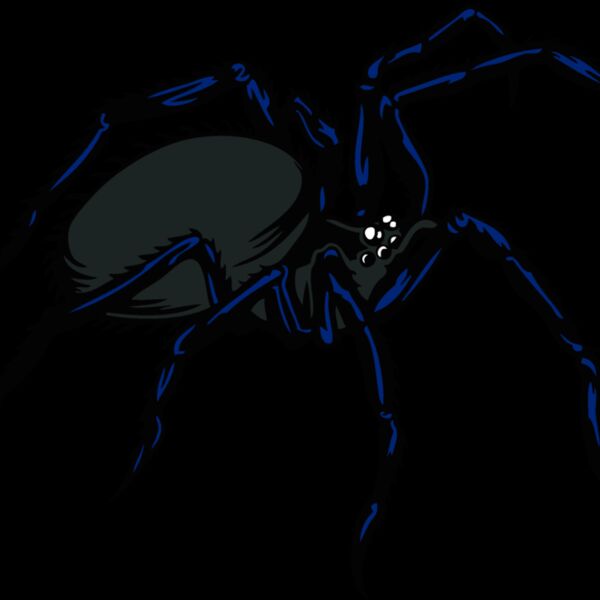 esspider003clr Thumbnail