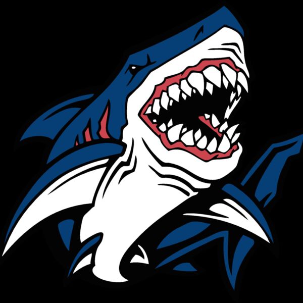 esshark002clr Thumbnail