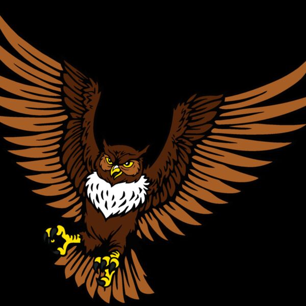 es2owl001clr Thumbnail