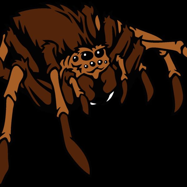 esspider001clr Thumbnail