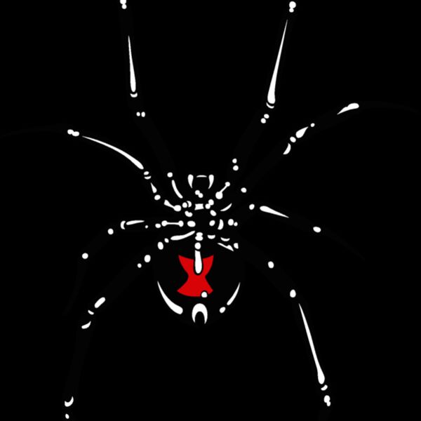 es2spider002clr Thumbnail