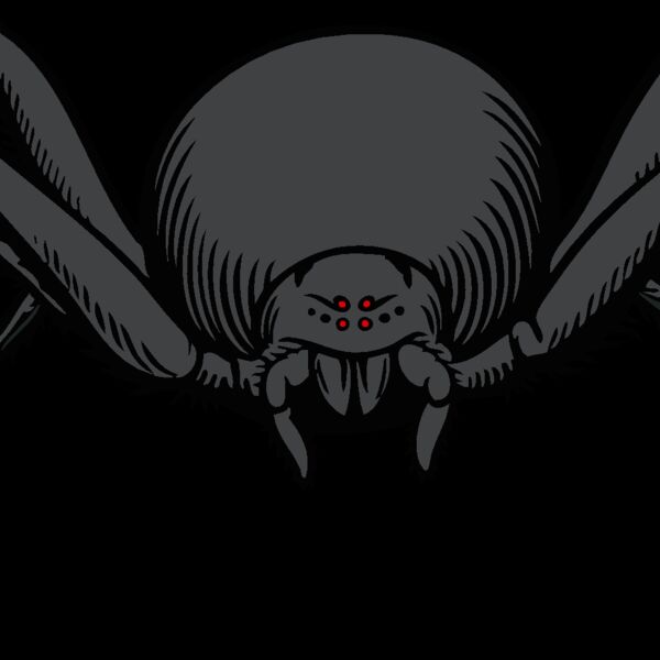 es2spider007clr Thumbnail