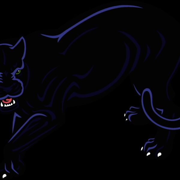 es2panther005clr Thumbnail