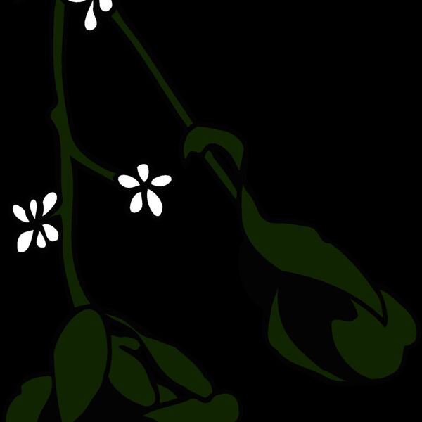 mistletoe2 Thumbnail