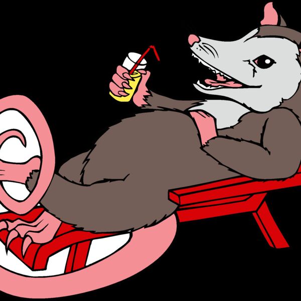 opossum kickback Thumbnail