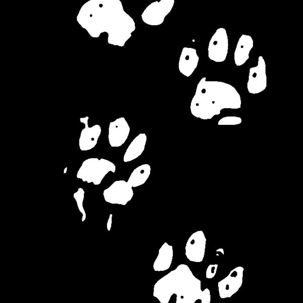 paws Thumbnail