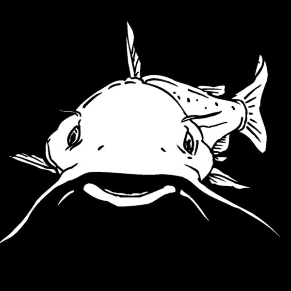 catfish1 Thumbnail