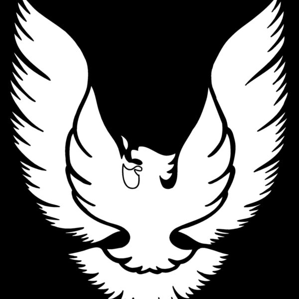 phoenix firebird Thumbnail