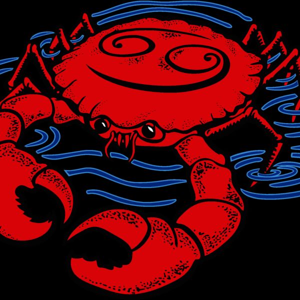 escancr003clr Thumbnail