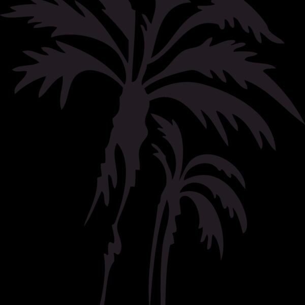 palmtrees02 Thumbnail