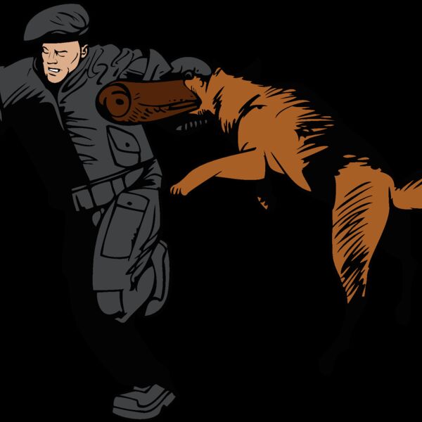 german shepherd 04 Thumbnail