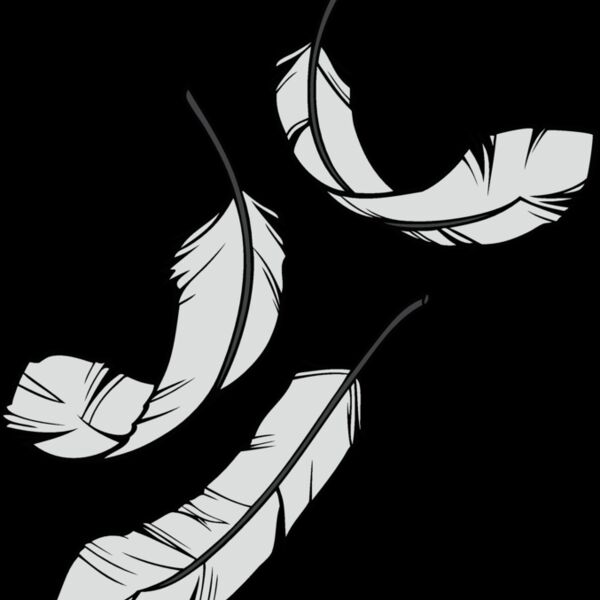 feathers08 Thumbnail