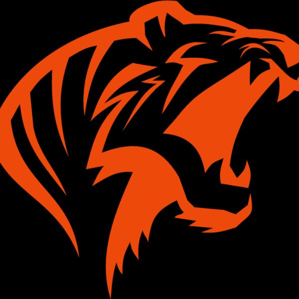 tribal tiger 2 Thumbnail