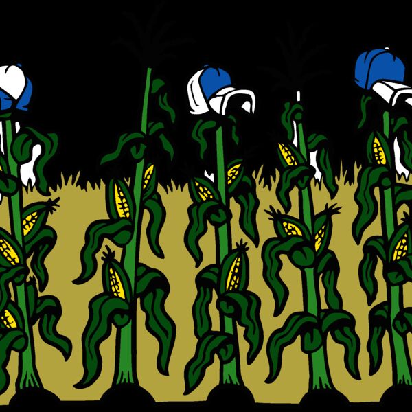 cornwithhats Thumbnail