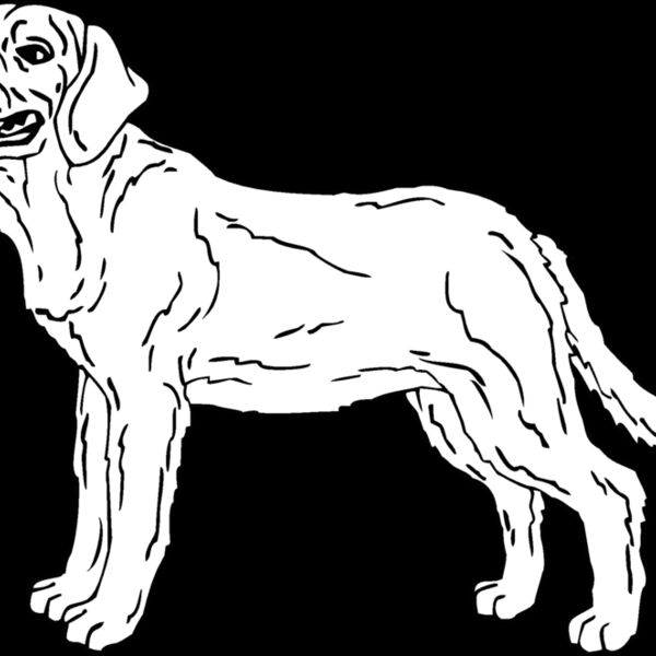 labrador01 Thumbnail
