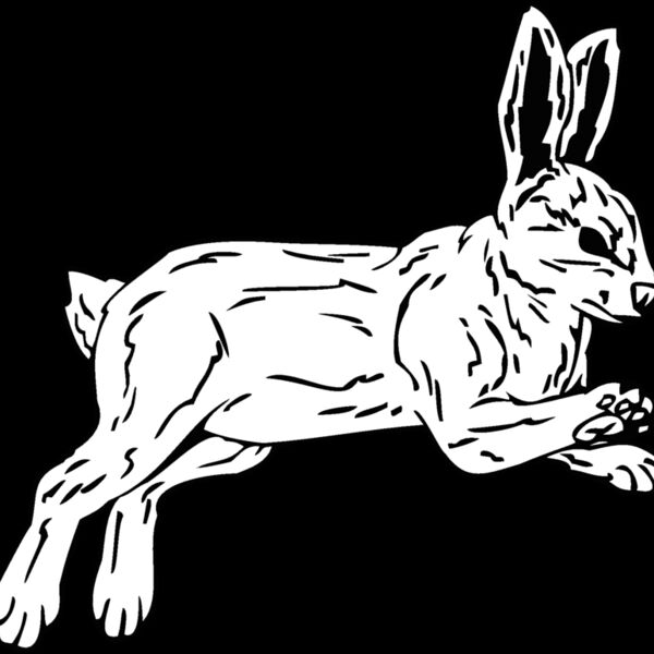 rabbit Thumbnail