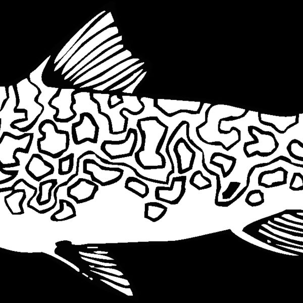 lake trout Thumbnail