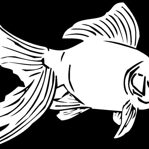 goldfish01 Thumbnail