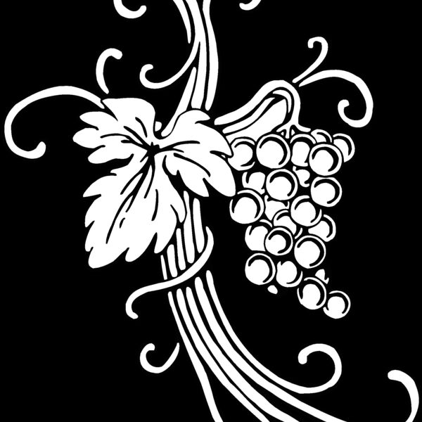 vineandgrape Thumbnail