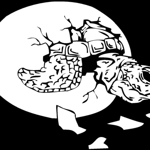 hatchingturtle Thumbnail