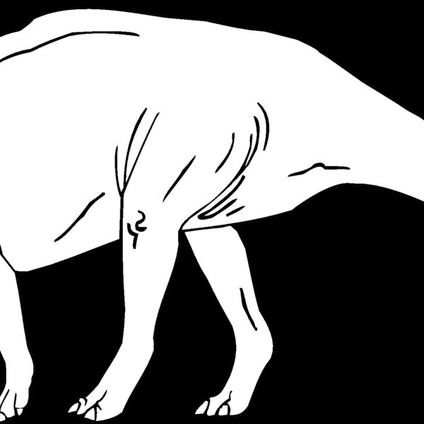 parasaur Thumbnail