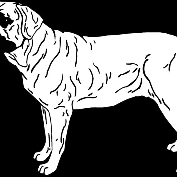 bullmastiff Thumbnail